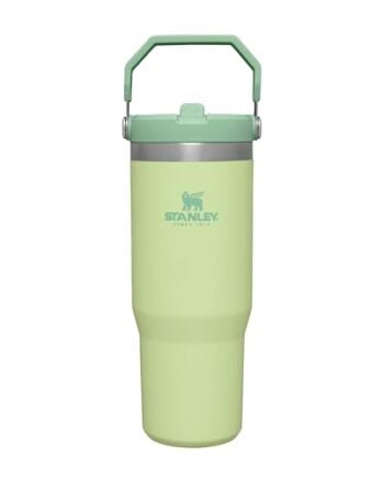 STANLEY IceFlow Flip Straw Tumbler 0.89L Citron - Stainless Steel Insulated Water Bottle